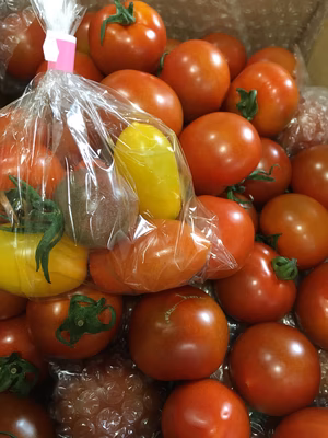 みんなの投稿の画像