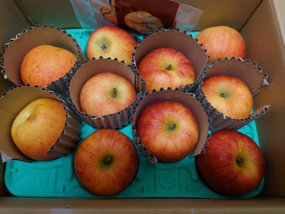 みんなの投稿の画像