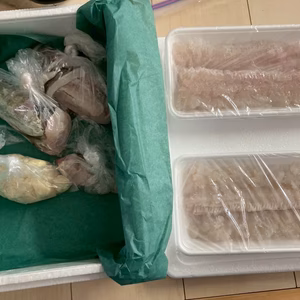 【夏季限定】瀬戸内 釣りハモ 骨切り済みパック