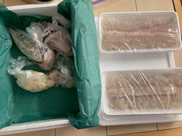 【夏季限定】瀬戸内 釣りハモ 骨切り済みパック