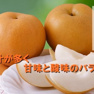 甘さあふれる旬 梨 豊水  梨 秋感じる一品   冷蔵発送 6〜10個入り