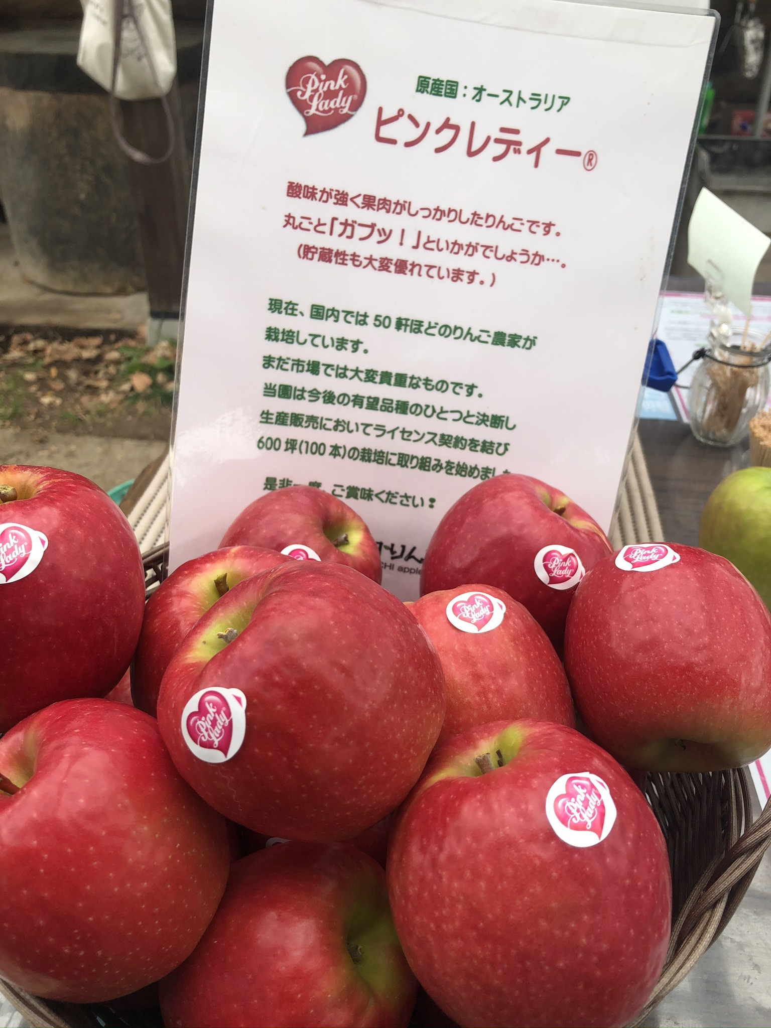 希少品種 小粒で甘酸っぱいりんご ピンクレディー 農家漁師から産地直送の通販 ポケットマルシェ