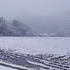 【特別栽培米】立神米こしひかり【新米】