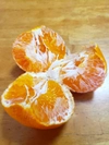 週末特価　最強柑橘　５㌔甘平(カンペイ)　