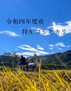 "新米"令和四年度野沢温泉産コシヒカリ100%