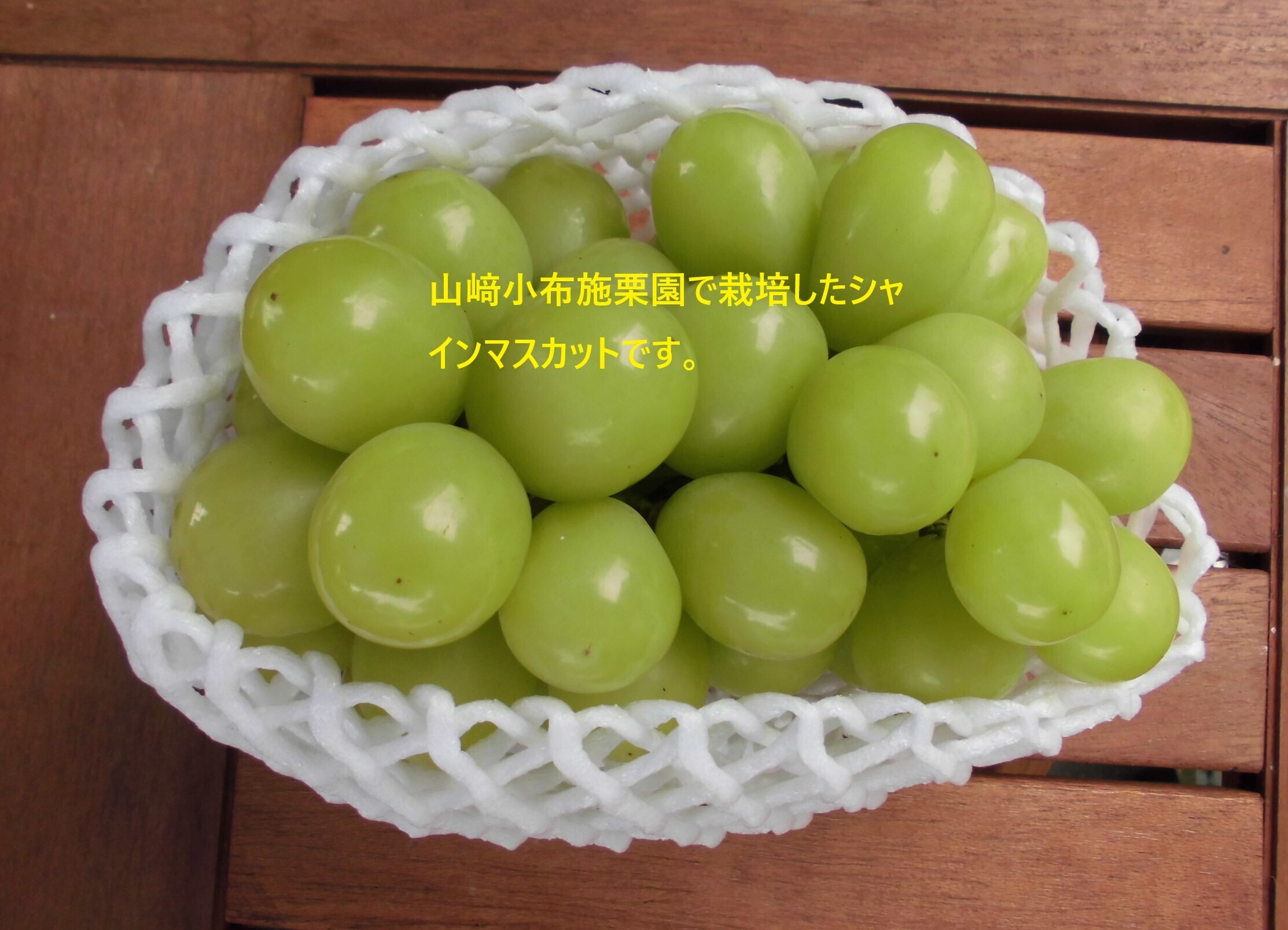 小布施栗 (筑波) 3L 5キロ