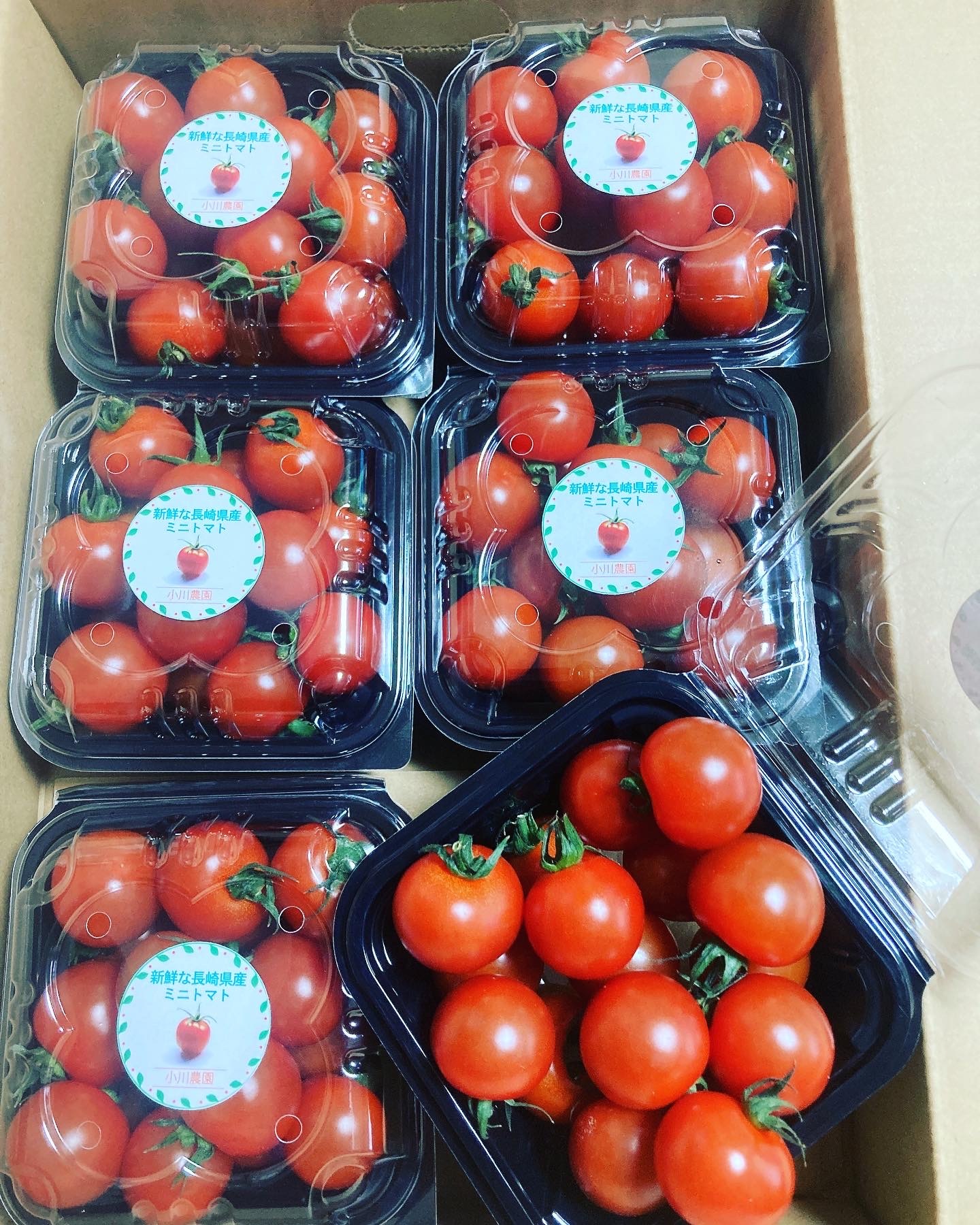 長崎県・産直ミニトマト『小鈴』1.2kg｜トマトの商品詳細｜ポケット