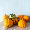 ハロウィン！【装飾用・柄かたちアソート】10個～ ジャックビーリトル パンプキン