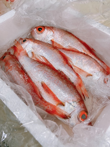 お手柄 レア魚ヤガラ お買い得 鮮魚セット 農家漁師から産地直送の通販 ポケットマルシェ