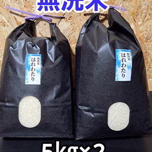 送料無料！令和6年青森県産無洗米はれわたり5kg×2
