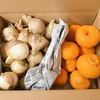 最終　漁師の畑新玉ねぎ柑橘箱ミニミニ1.5k～メガ欲張りハーフなど17箱