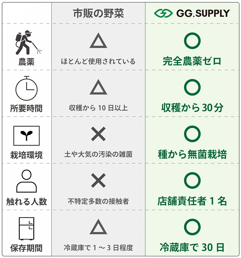 一ヶ月日持ち│５種常備野菜定期便（Largeサイズ）