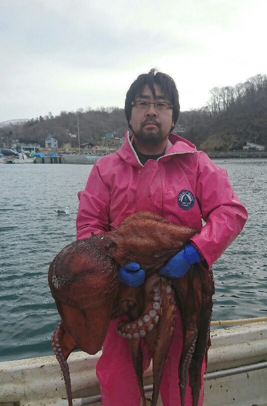 本当に美味いウニは 塩水ウニ 一択 北海道小樽の漁師が語る 極上ウニと出会うためのウニ知識 農家漁師から産地直送の通販 ポケットマルシェ