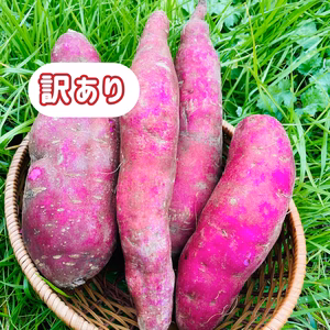 べにあずま【農薬・化学肥料不使用】【訳あり】