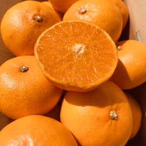 3月にお届け◼️減農薬●果汁あふれるトロけるせとか●家庭用