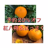 【予約2／20頃発送開始】予約限定価格！紅八朔＆八朔【農薬不使用】