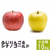 ふじりんご&シナノゴールド【小玉訳あり10kg】食べ比べ☆10月下旬出荷開始