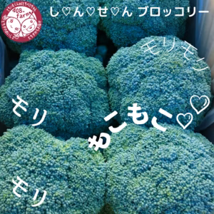 【新物】もこもこ・もりもり☆新鮮ブロッコリー！6個　花野菜