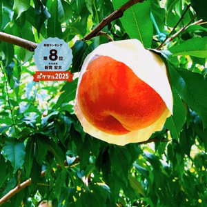 【予約】桃　なつっこ  良品　長野県産