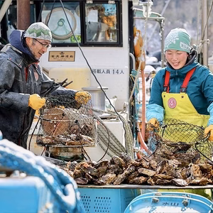 新緑の気仙沼♪牡蠣づくし３品セット(生かき、醤油煮、オイル漬)