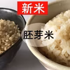 R5年産新米　特別栽培米『駒義』(胚芽米)
