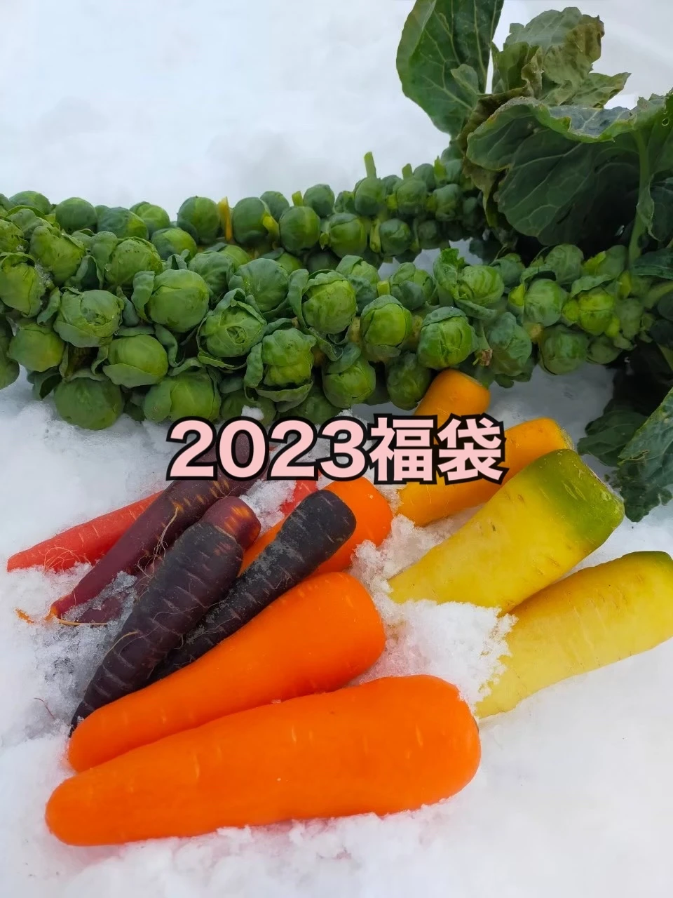 【2023福袋】冬の味覚セット（特典付・数量限定）※1/中旬〜発送