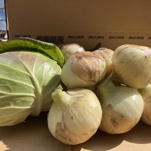 淡路島❤️ちょっと訳あり新玉ねぎ約2.5Kg &キャベツ