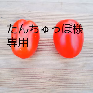 たんちゅっぽ様専用