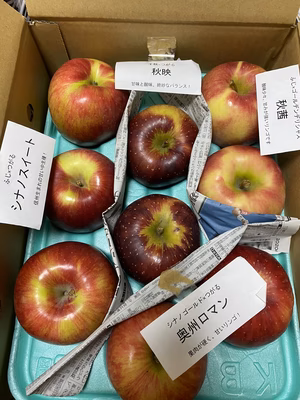 みんなの投稿の画像