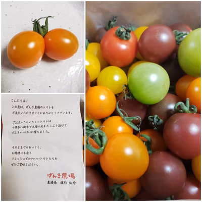 みんなの投稿の画像