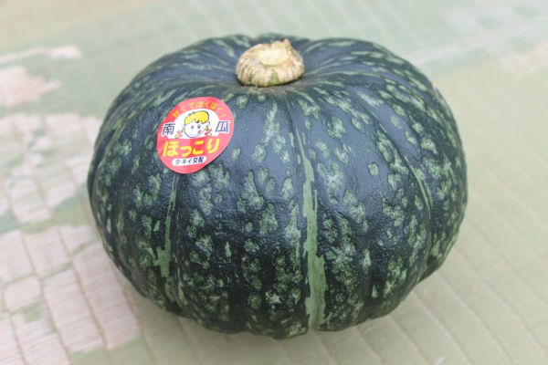 にっこりほくほく！かぼちゃ［茨城県産　ほっこり南瓜］