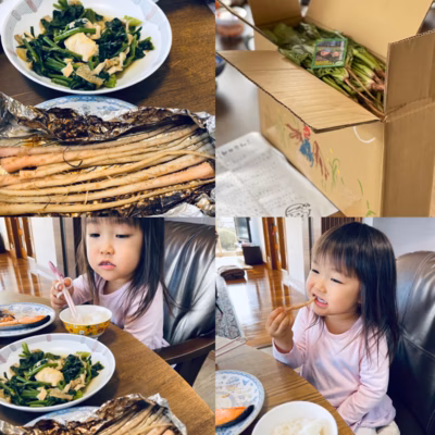 みんなの投稿の画像