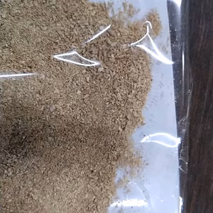 生姜パウダー（粗め）業務用1㎏【高知県四万十町産】農薬・化学肥料不使用