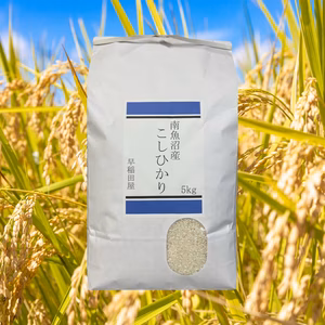 塩沢産コシヒカリ　精米5キロ 南魚沼産コシヒカリ