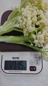 【イタコラset】イタリア野菜のカリフローレとカリーノケールのコラボセット
