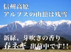 有機栽培❗❗長ネギ【お試し10本✨1コイン500円】✨朝取り信州産