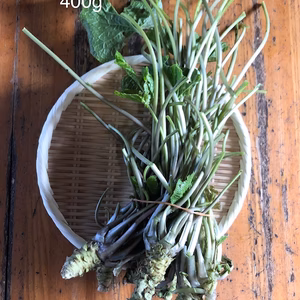 【新着☆】わさび漬をつくりたい方に葉付き小わさび１束400g