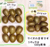 少し小さめキウイ ジャムなど加工にも！農薬不使用 自然栽培キウイフルーツ