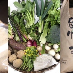 露地野菜と粉セットと玄米のセット