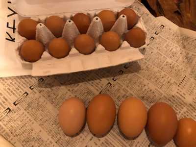 みんなの投稿の画像