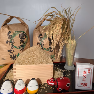 会津産　ひとめぼれ　10㎏　（玄米）