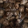 【ちっちゃな原木しいたけ】ブルちい