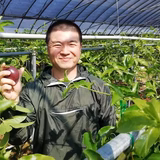 柳田 晃 | 柳田農園