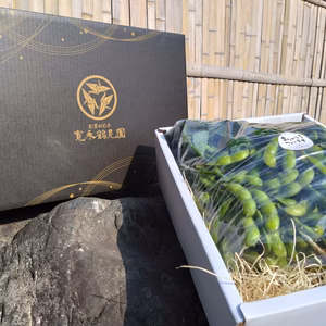 【最高糖度40度オーバー】大切な人へ最高の贈り物約1kg『千年えだまめ』