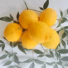 無消毒レモン 〜酸とビタミンたっぷり〜大小混 家庭用 