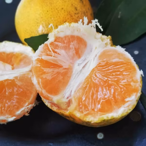 見た目は悪いが中味で勝負！甘くてジューシー　濃厚木成り完熟みかん