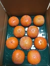 秋本番‼️太秋柿と早生富有柿  食べ比べ10個セット