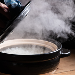 【白米】(令和２年産)農薬をつかわないコシヒカリ