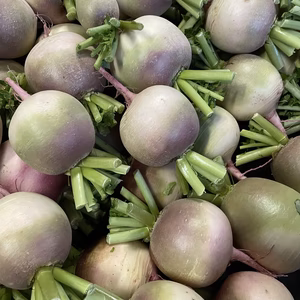 お野菜セット～レストラン向け