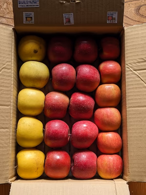 みんなの投稿の画像